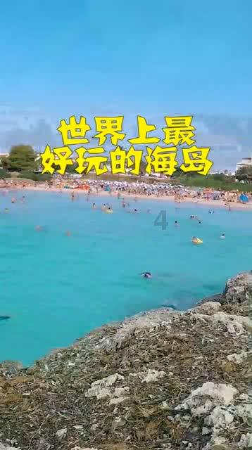 迷你淘气猪逃脱