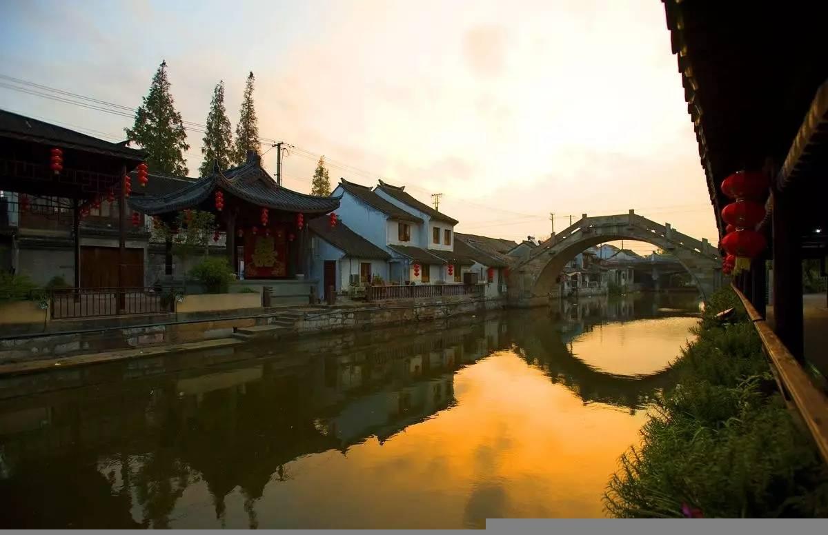 第一批回村过年的猫，已经掉进粪坑，当事猫：咕咚咕咚，喝两口就饱了